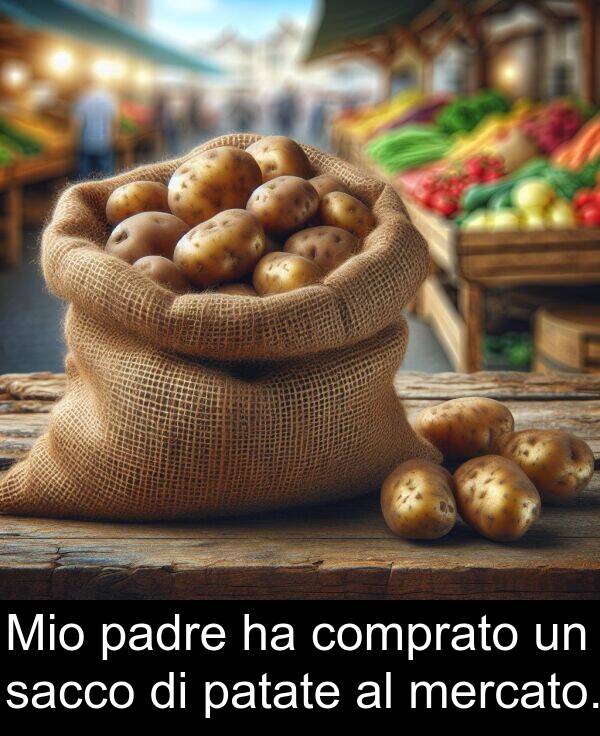 sacco: Mio padre ha comprato un sacco di patate al mercato.