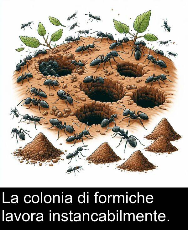 colonia: La colonia di formiche lavora instancabilmente.