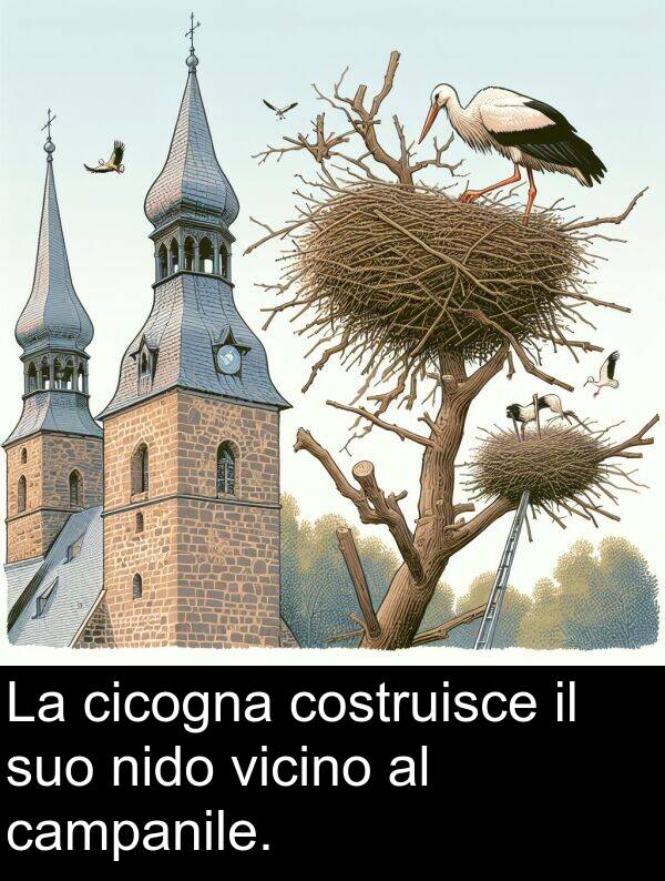 campanile: La cicogna costruisce il suo nido vicino al campanile.