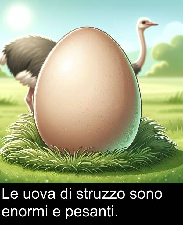 pesanti: Le uova di struzzo sono enormi e pesanti.