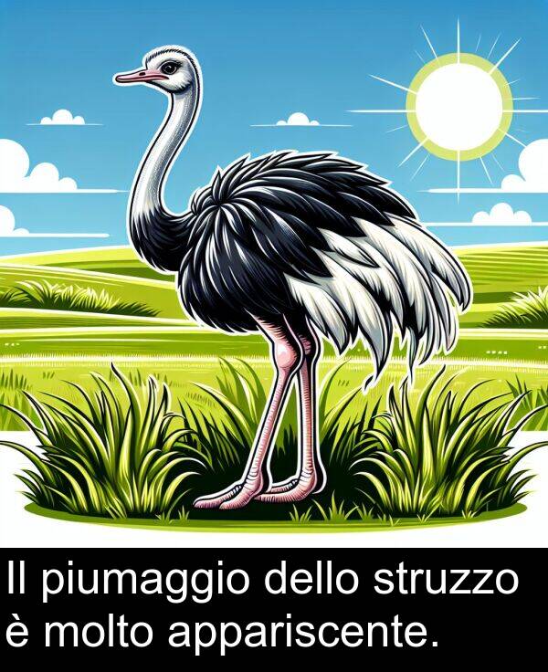 dello: Il piumaggio dello struzzo è molto appariscente.
