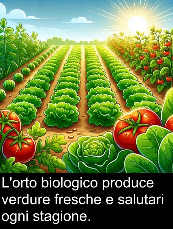 ogni: L'orto biologico produce verdure fresche e salutari ogni stagione.