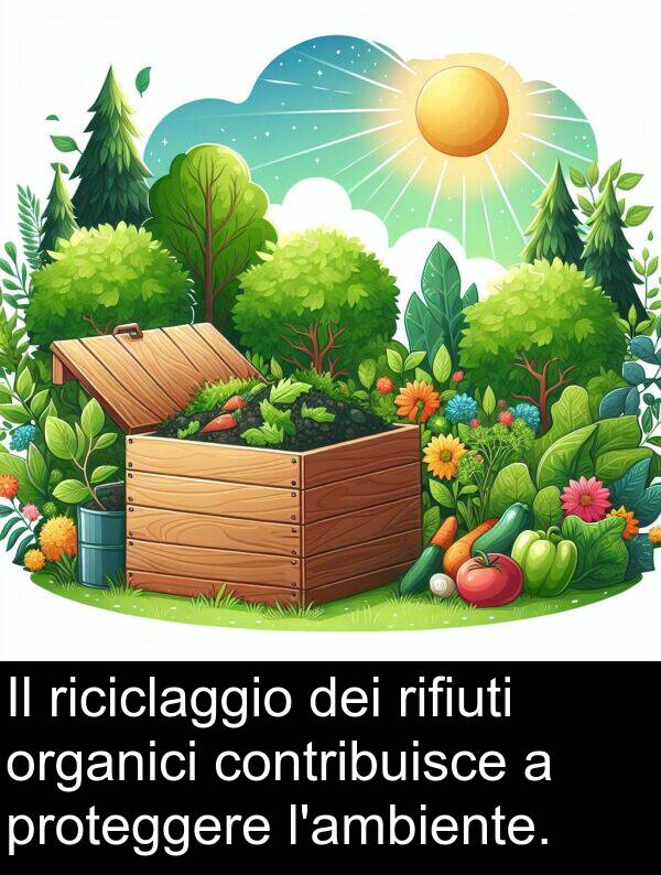 rifiuti: Il riciclaggio dei rifiuti organici contribuisce a proteggere l'ambiente.