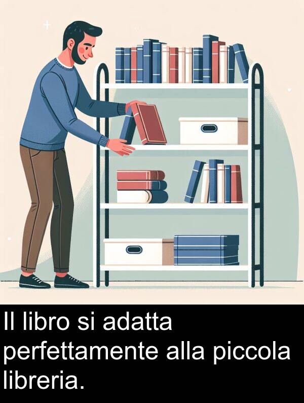 alla: Il libro si adatta perfettamente alla piccola libreria.