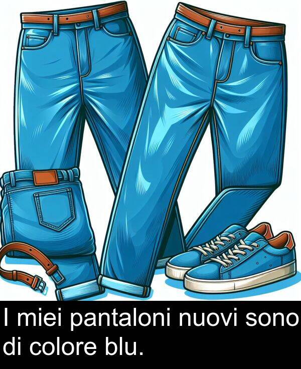 pantaloni: I miei pantaloni nuovi sono di colore blu.