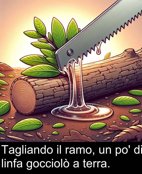 ramo: Tagliando il ramo, un po' di linfa gocciolò a terra.