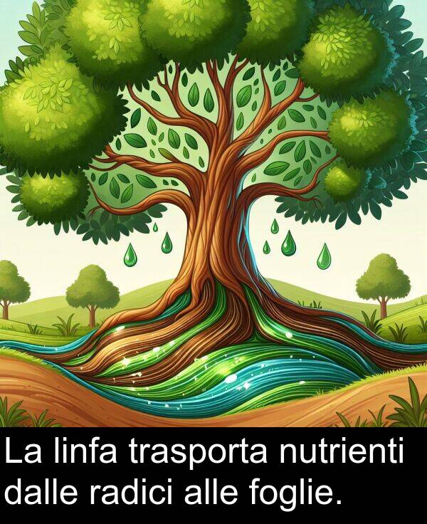 dalle: La linfa trasporta nutrienti dalle radici alle foglie.