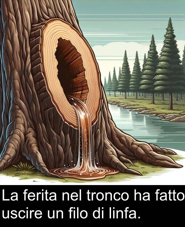 uscire: La ferita nel tronco ha fatto uscire un filo di linfa.