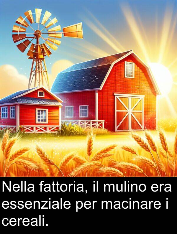 cereali: Nella fattoria, il mulino era essenziale per macinare i cereali.