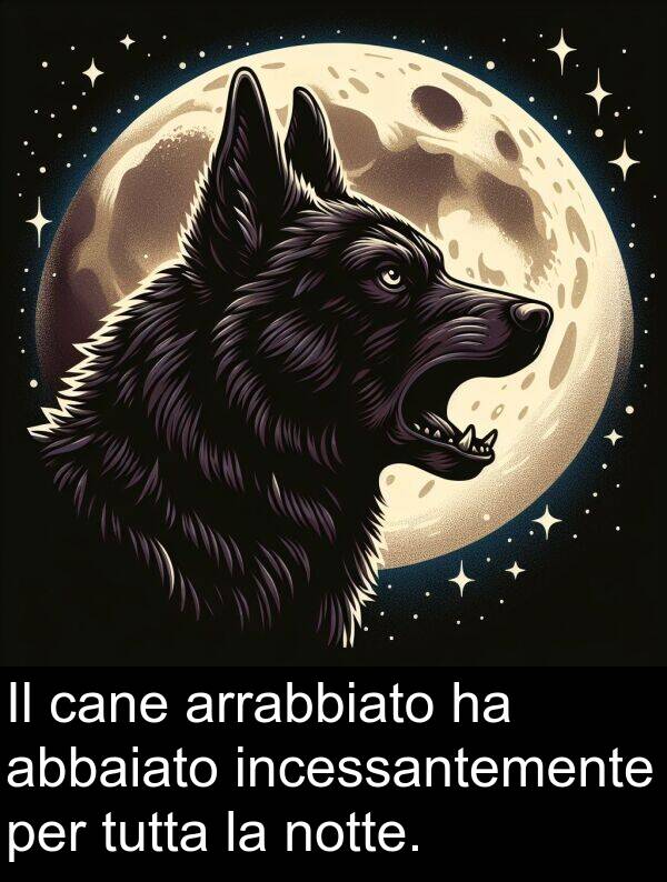 cane: Il cane arrabbiato ha abbaiato incessantemente per tutta la notte.