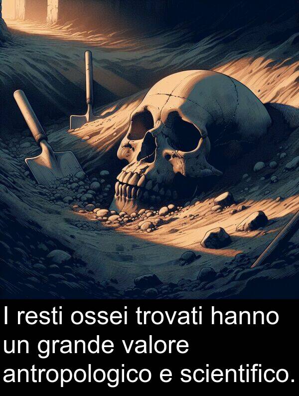 ossei: I resti ossei trovati hanno un grande valore antropologico e scientifico.