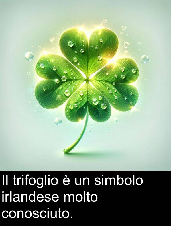 trifoglio: Il trifoglio è un simbolo irlandese molto conosciuto.