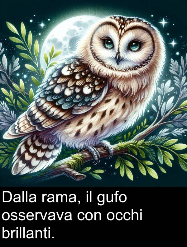 rama: Dalla rama, il gufo osservava con occhi brillanti.