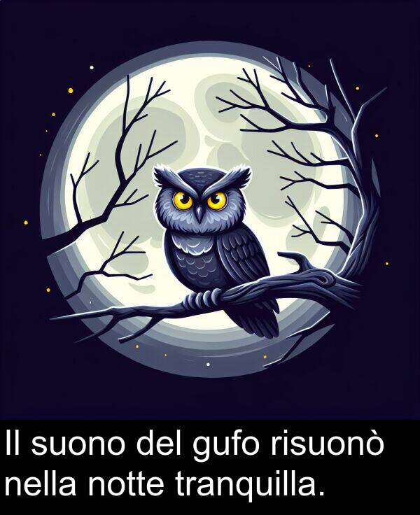 risuonò: Il suono del gufo risuonò nella notte tranquilla.