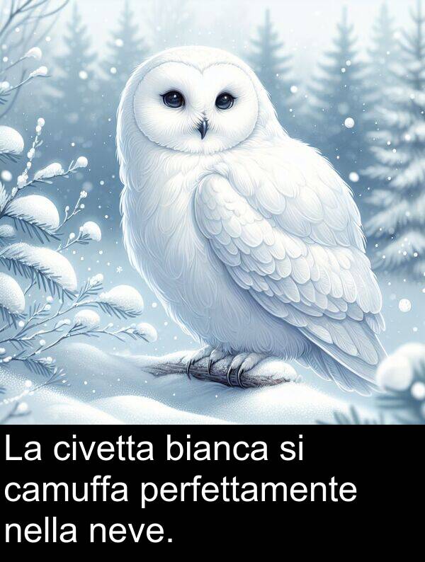 bianca: La civetta bianca si camuffa perfettamente nella neve.