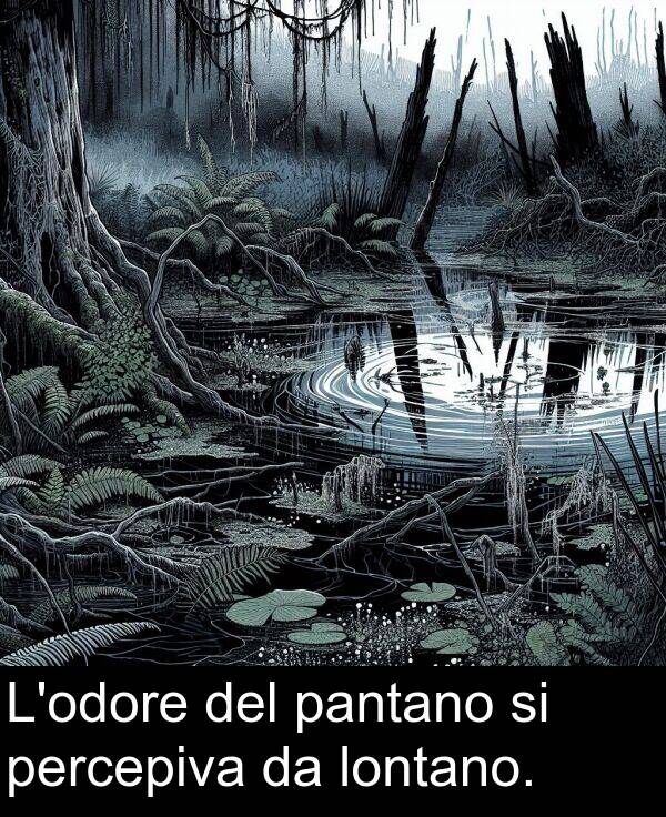 pantano: L'odore del pantano si percepiva da lontano.