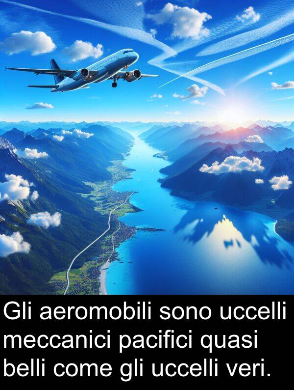 veri: Gli aeromobili sono uccelli meccanici pacifici quasi belli come gli uccelli veri.