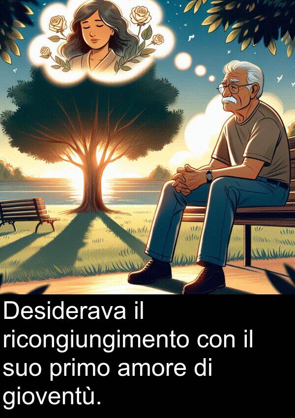 ricongiungimento: Desiderava il ricongiungimento con il suo primo amore di gioventù.