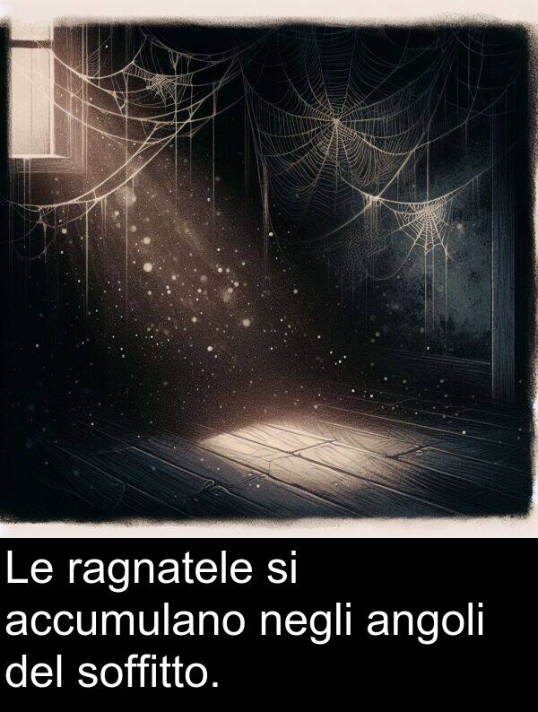 ragnatele: Le ragnatele si accumulano negli angoli del soffitto.