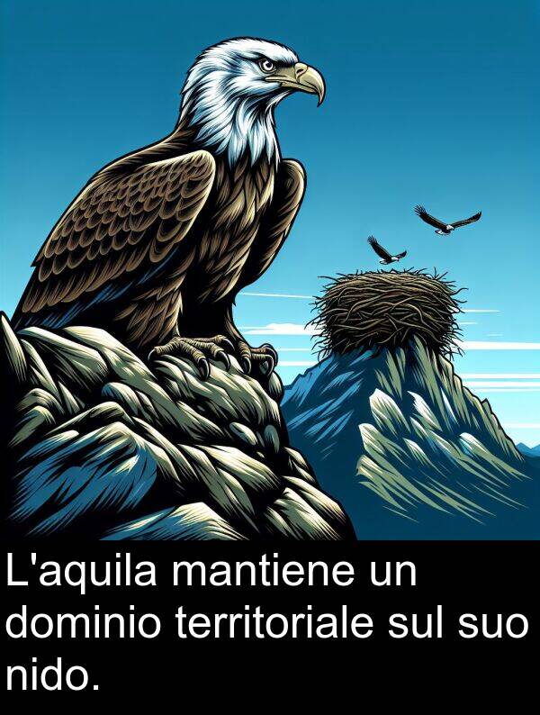 sul: L'aquila mantiene un dominio territoriale sul suo nido.