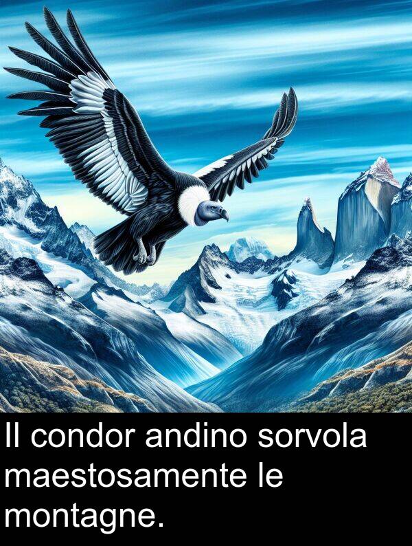 andino: Il condor andino sorvola maestosamente le montagne.