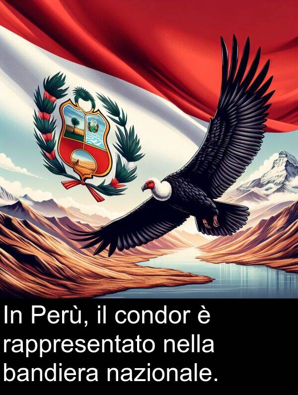 condor: In Perù, il condor è rappresentato nella bandiera nazionale.
