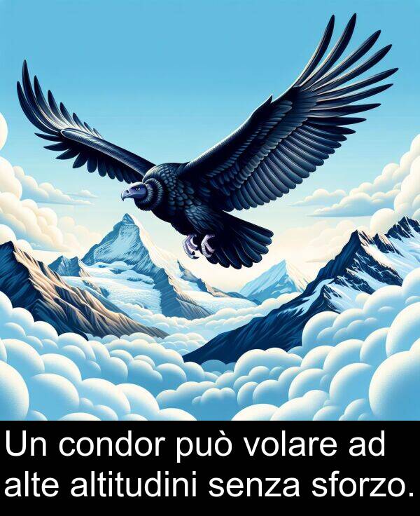 volare: Un condor può volare ad alte altitudini senza sforzo.
