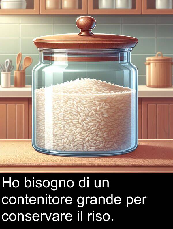 grande: Ho bisogno di un contenitore grande per conservare il riso.