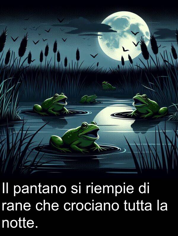rane: Il pantano si riempie di rane che crociano tutta la notte.