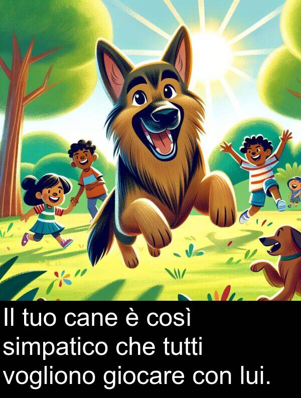 cane: Il tuo cane è così simpatico che tutti vogliono giocare con lui.