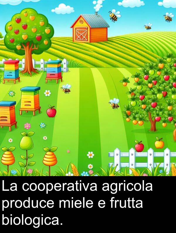 produce: La cooperativa agricola produce miele e frutta biologica.