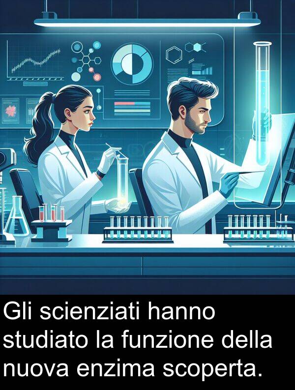funzione: Gli scienziati hanno studiato la funzione della nuova enzima scoperta.