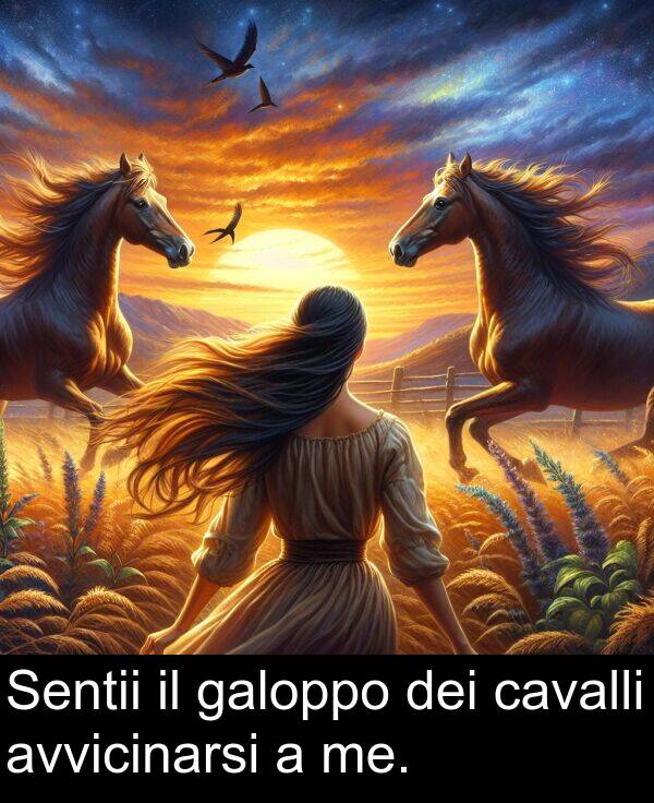cavalli: Sentii il galoppo dei cavalli avvicinarsi a me.