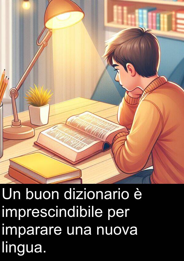 buon: Un buon dizionario è imprescindibile per imparare una nuova lingua.