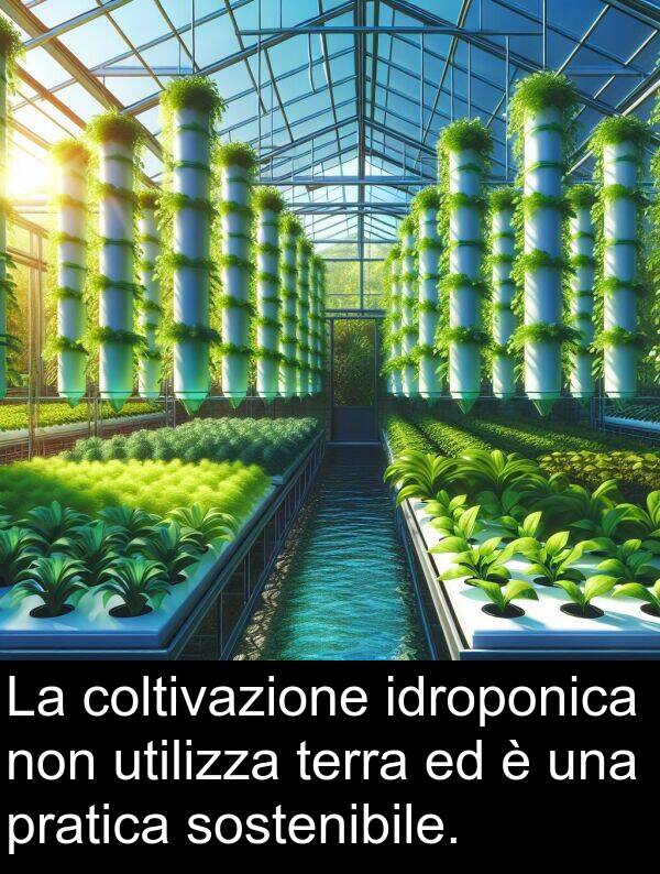 pratica: La coltivazione idroponica non utilizza terra ed è una pratica sostenibile.