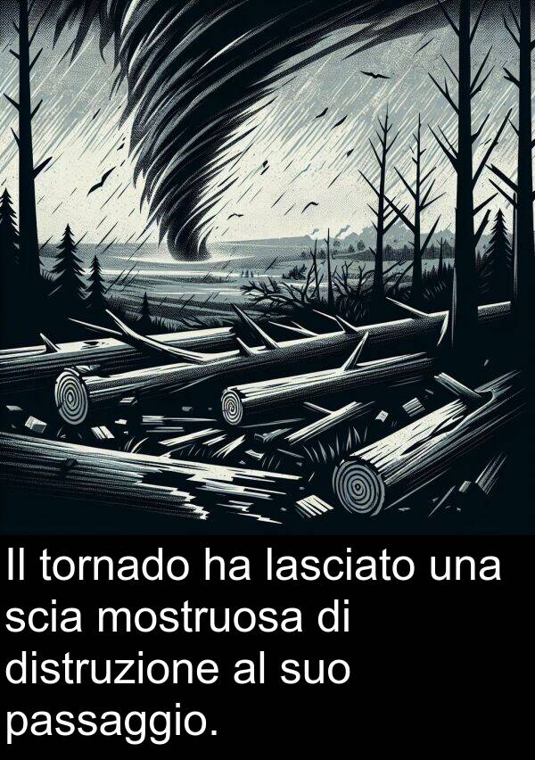 passaggio: Il tornado ha lasciato una scia mostruosa di distruzione al suo passaggio.