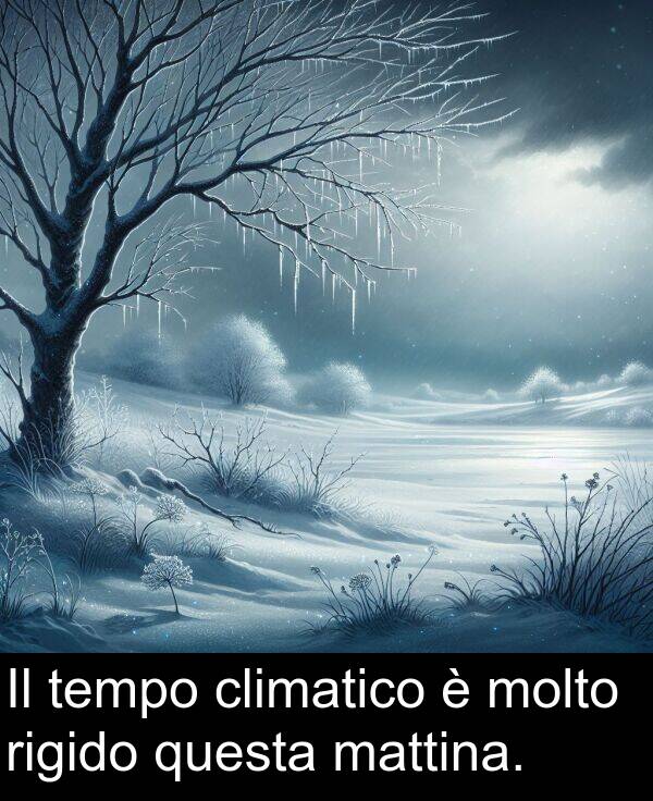 tempo: Il tempo climatico è molto rigido questa mattina.