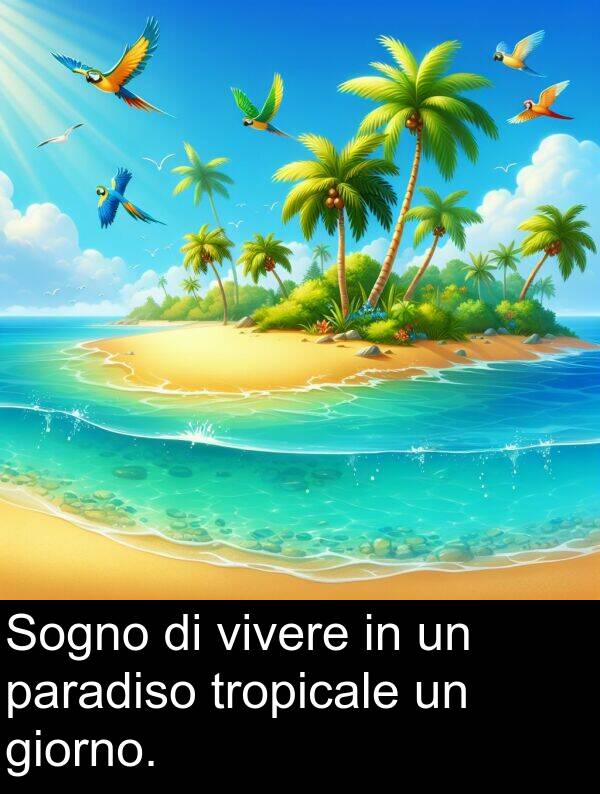 tropicale: Sogno di vivere in un paradiso tropicale un giorno.