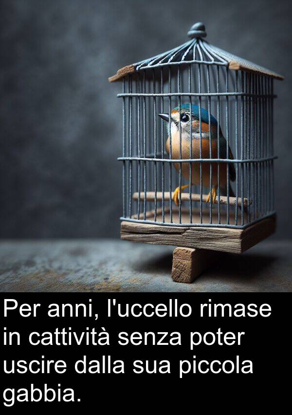dalla: Per anni, l'uccello rimase in cattività senza poter uscire dalla sua piccola gabbia.