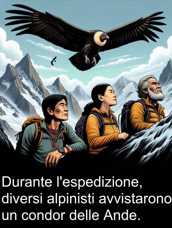condor: Durante l'espedizione, diversi alpinisti avvistarono un condor delle Ande.
