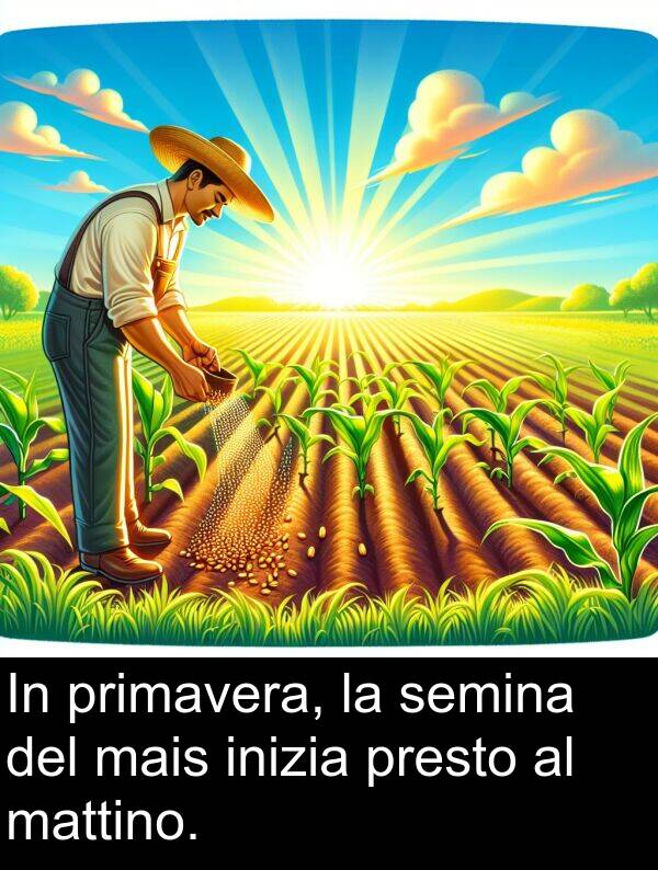 semina: In primavera, la semina del mais inizia presto al mattino.