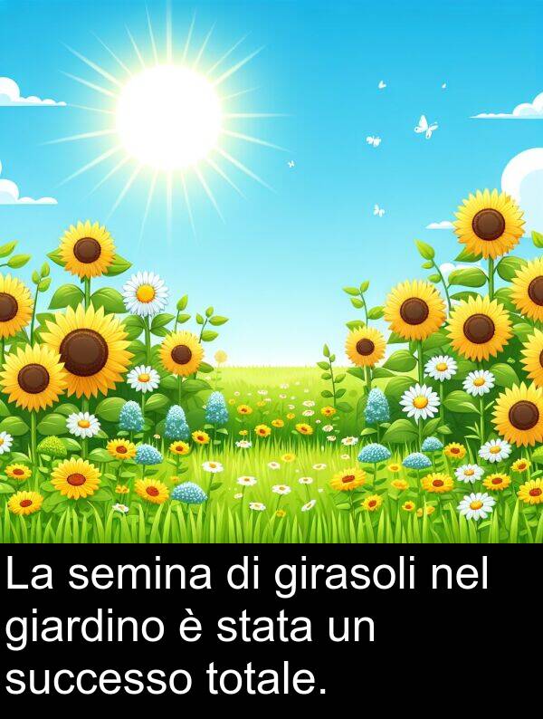stata: La semina di girasoli nel giardino è stata un successo totale.