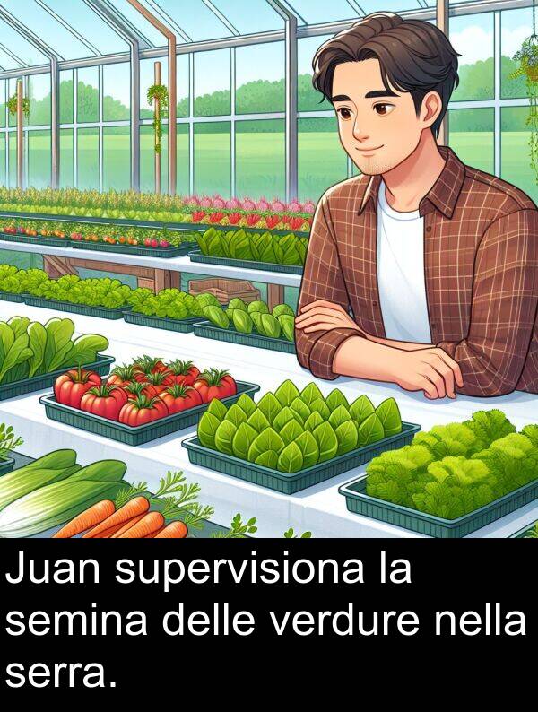 nella: Juan supervisiona la semina delle verdure nella serra.