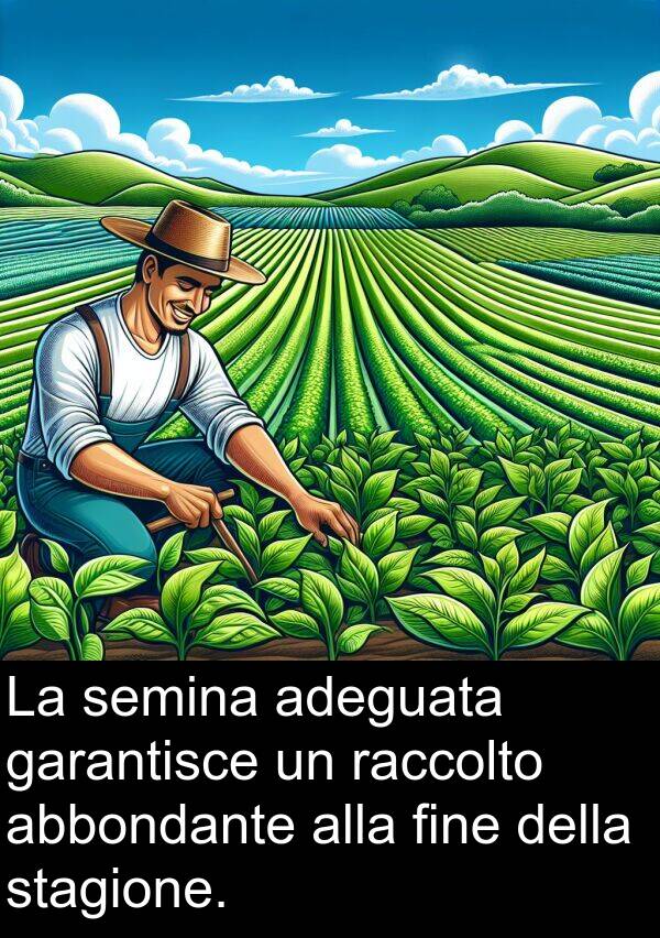 garantisce: La semina adeguata garantisce un raccolto abbondante alla fine della stagione.