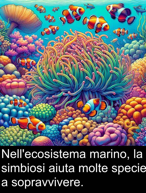 simbiosi: Nell'ecosistema marino, la simbiosi aiuta molte specie a sopravvivere.