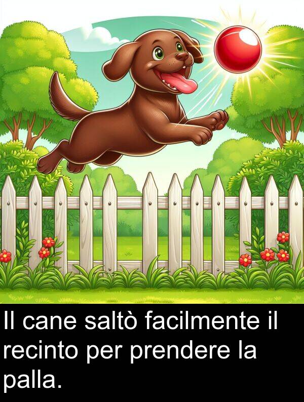 cane: Il cane saltò facilmente il recinto per prendere la palla.