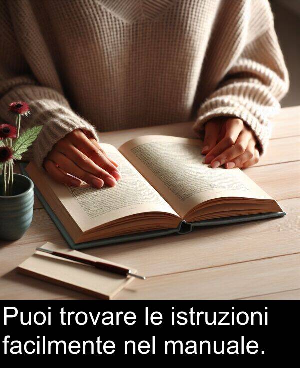 manuale: Puoi trovare le istruzioni facilmente nel manuale.