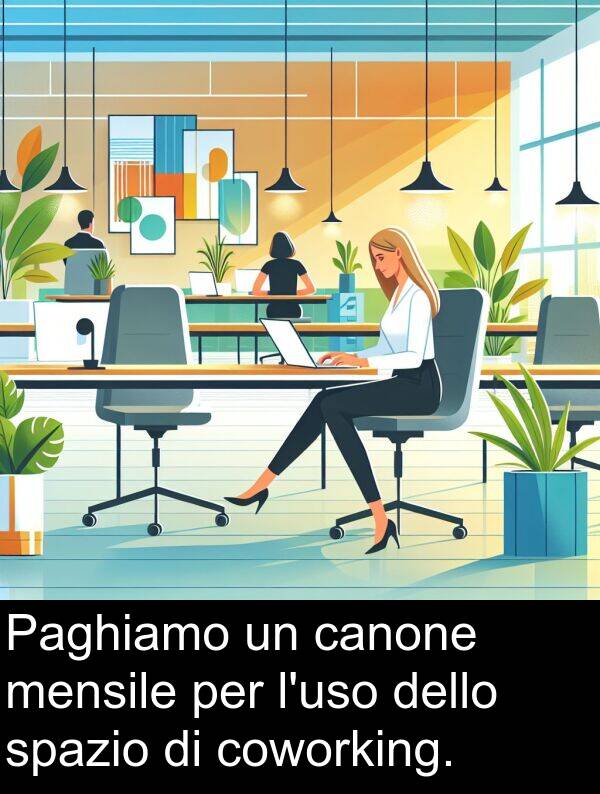 canone: Paghiamo un canone mensile per l'uso dello spazio di coworking.