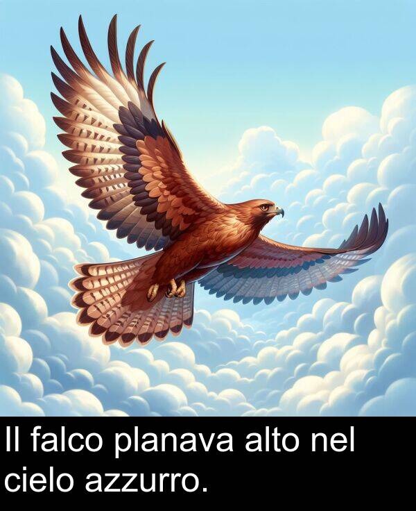 nel: Il falco planava alto nel cielo azzurro.