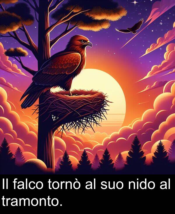 tramonto: Il falco tornò al suo nido al tramonto.